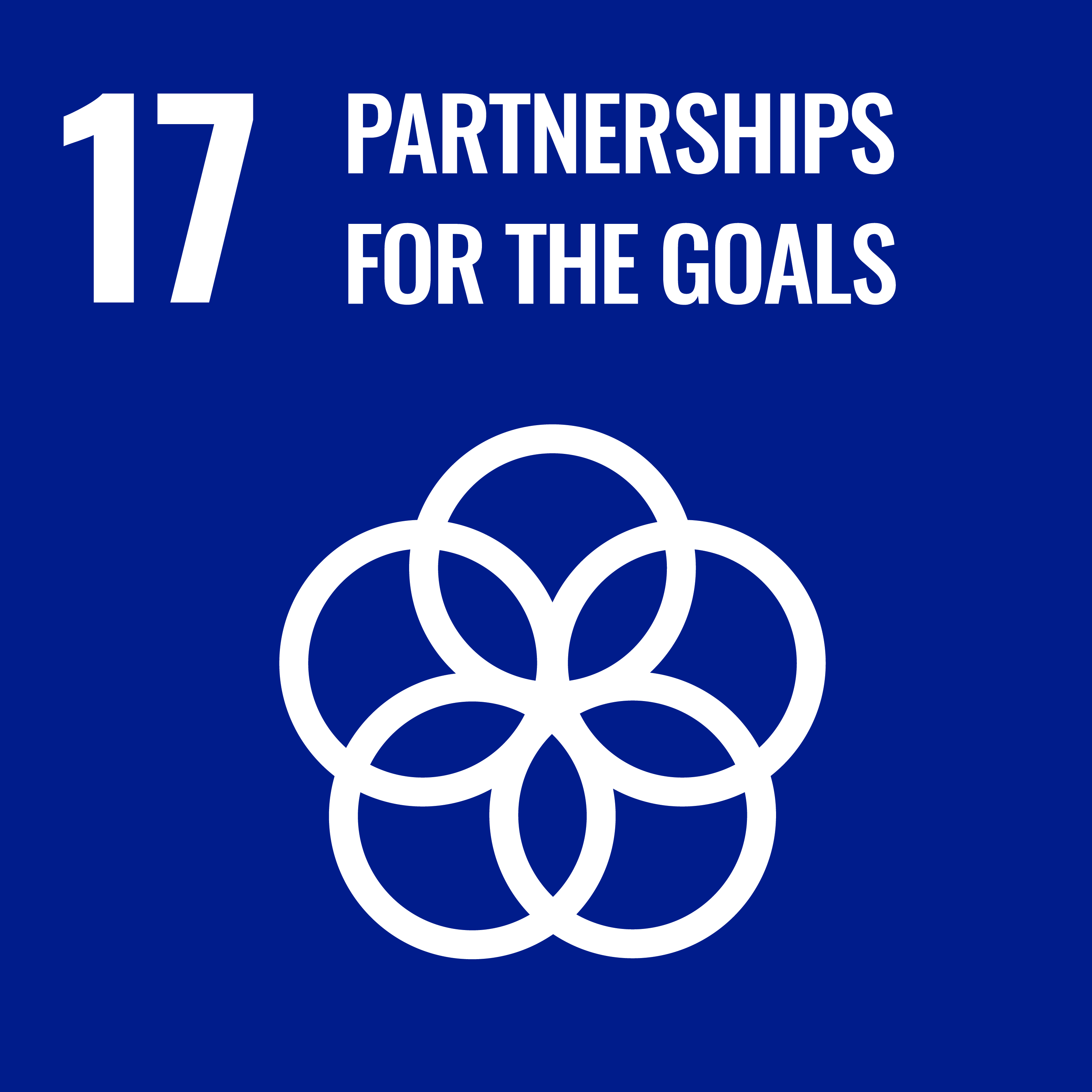  Strengthen the means of implementation and revitalize the Global Partnership for Sustainable Development