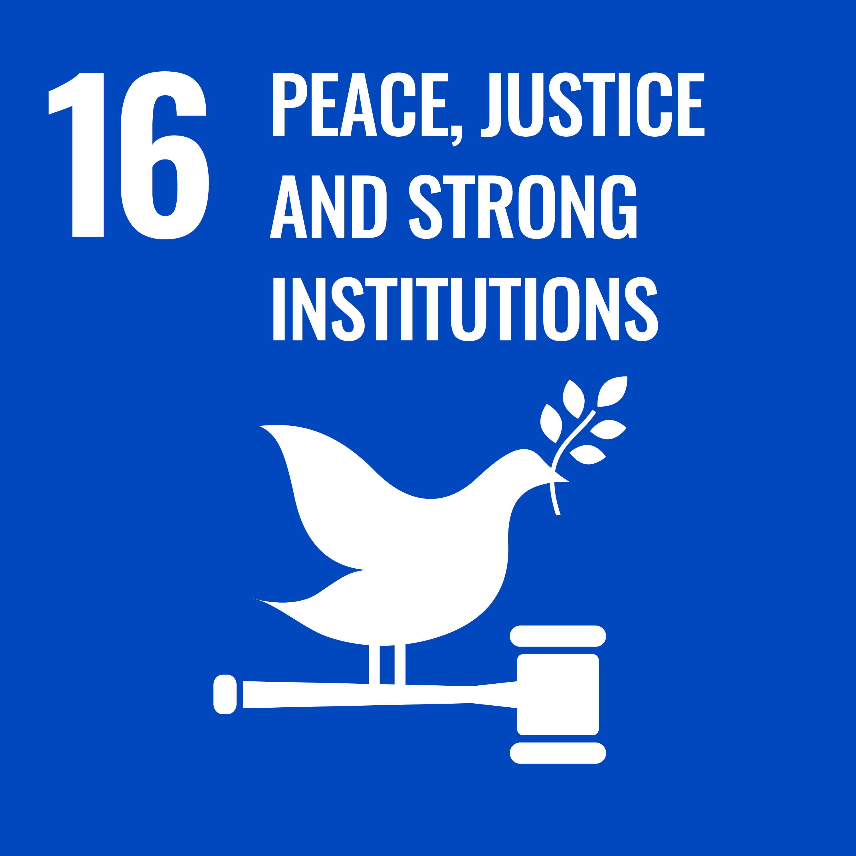  Promote peaceful and inclusive societies for sustainable development, provide access to justice for all and build effective, accountable and inclusive institutions at all levels