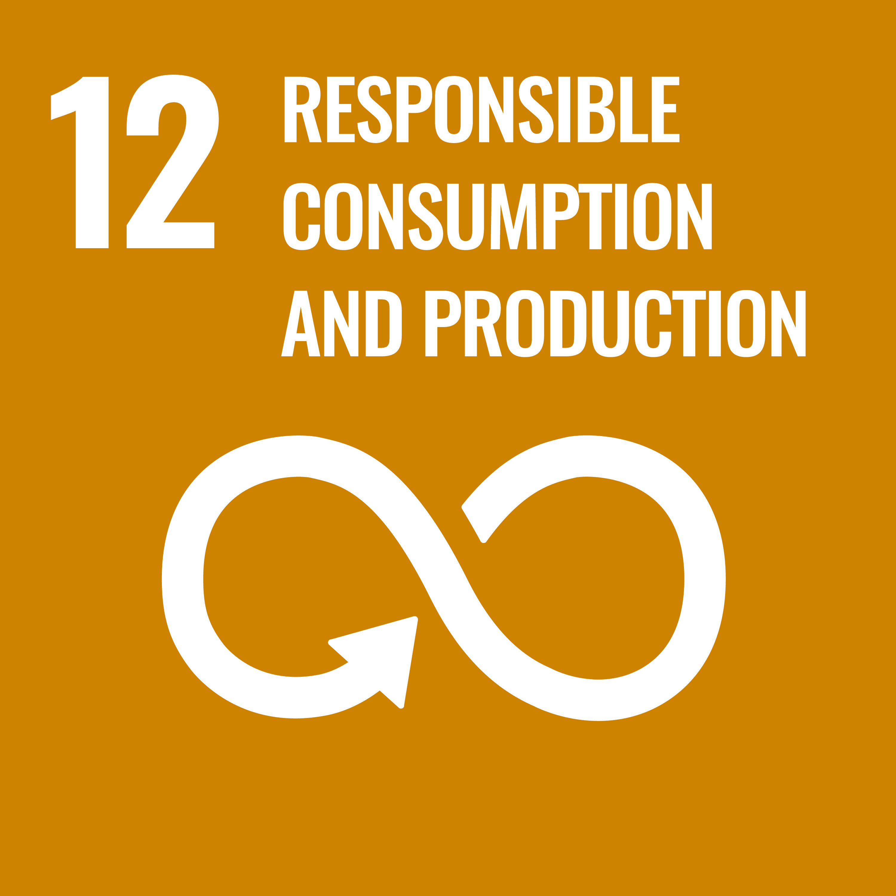  Ensure sustainable consumption and production patterns